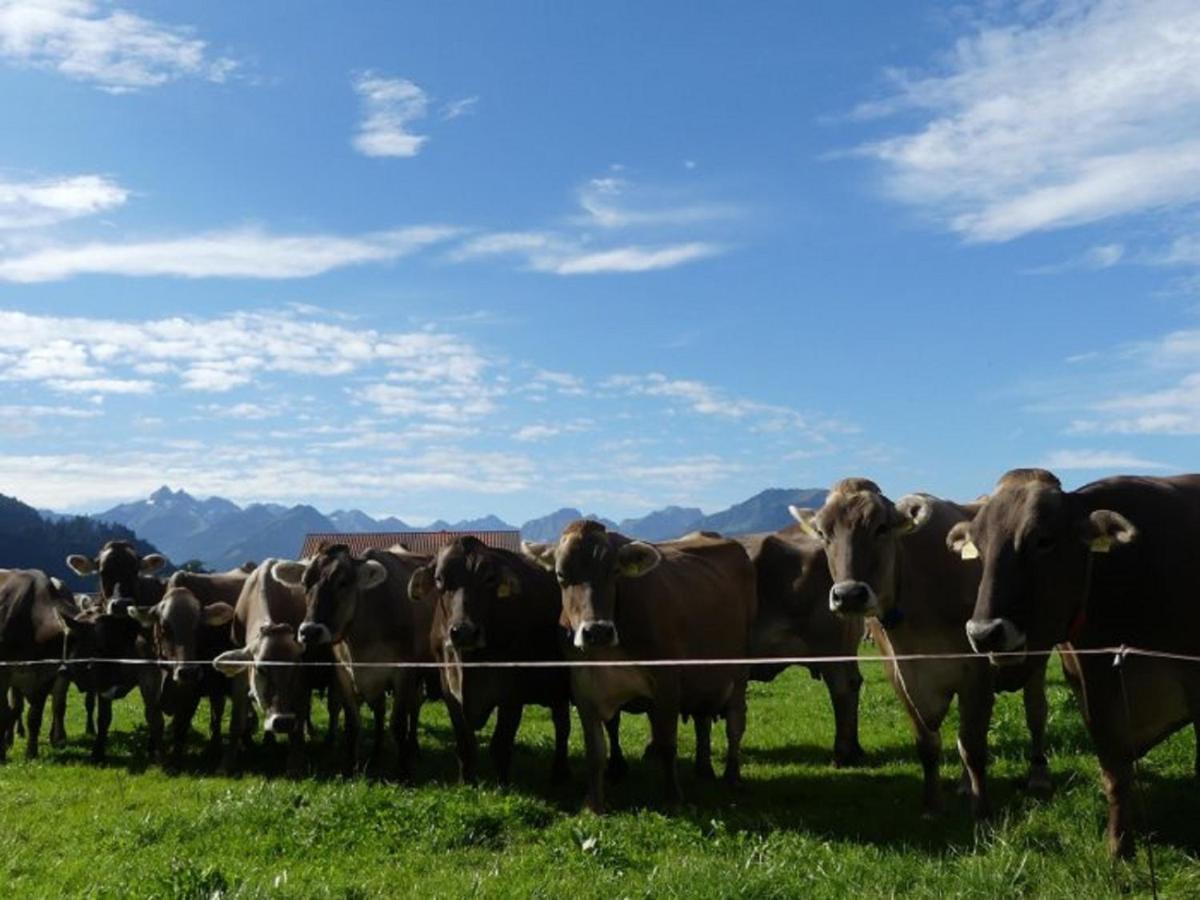 Hemerhof - Ferienwohnungen Oberstdorf Exteriér fotografie
