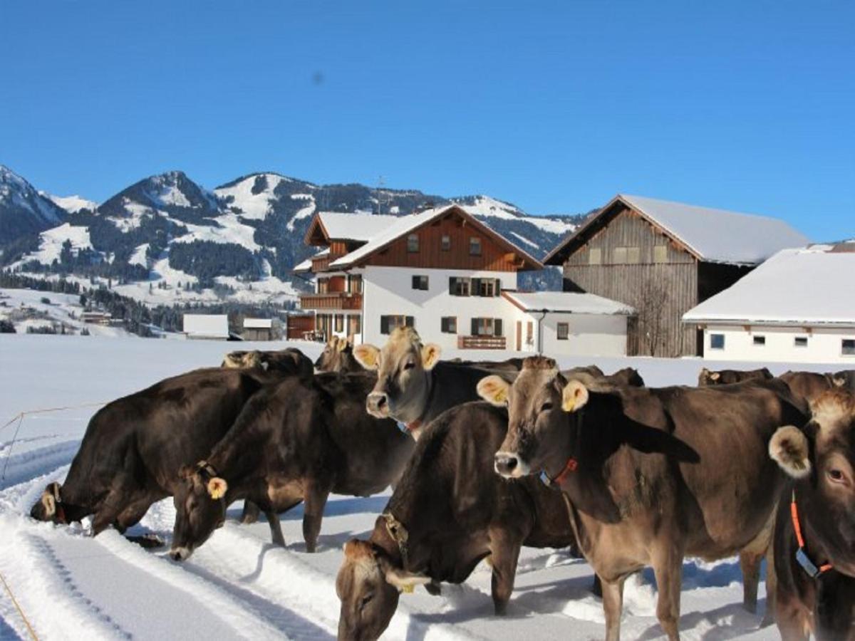 Hemerhof - Ferienwohnungen Oberstdorf Exteriér fotografie