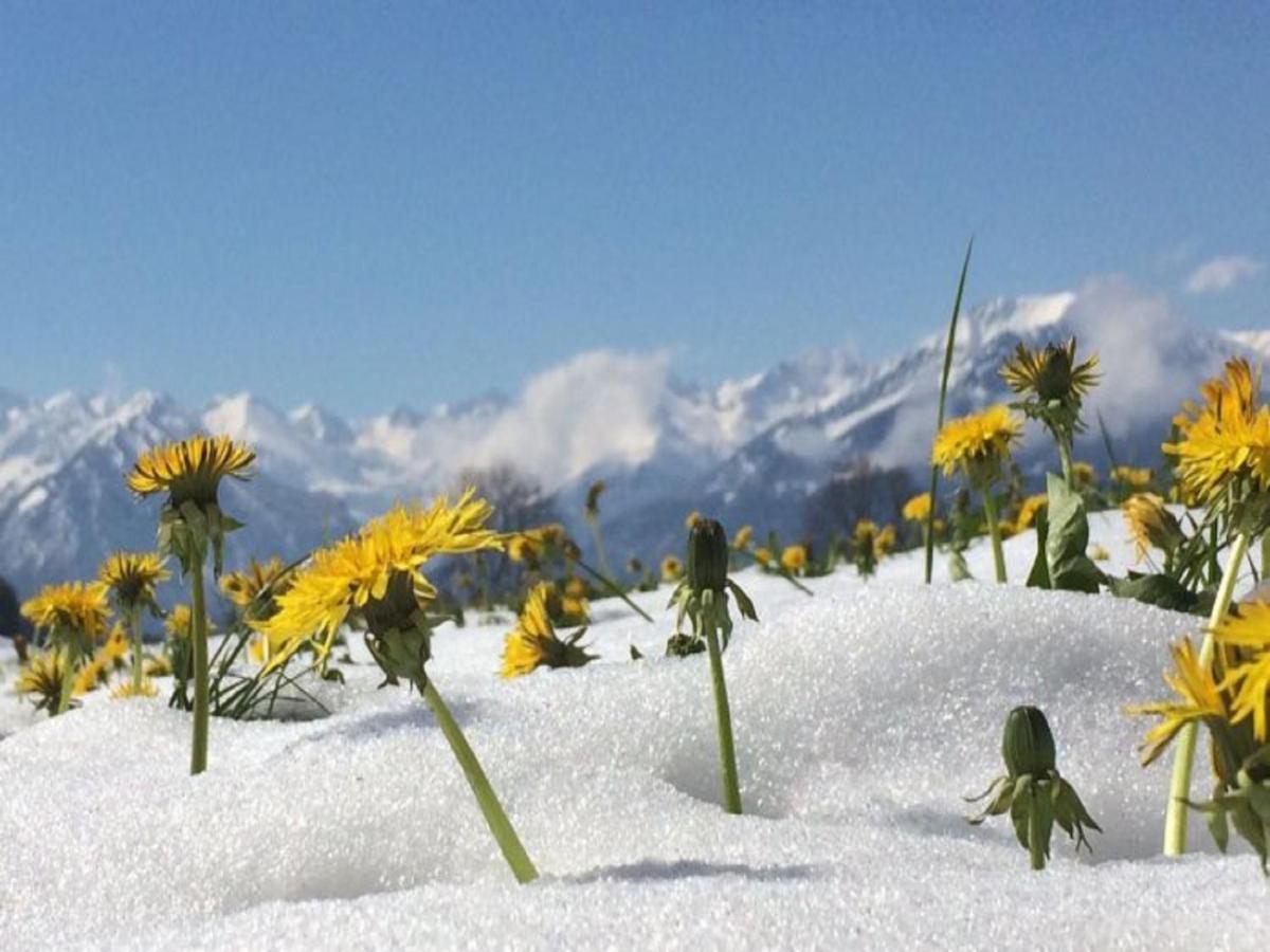 Hemerhof - Ferienwohnungen Oberstdorf Exteriér fotografie