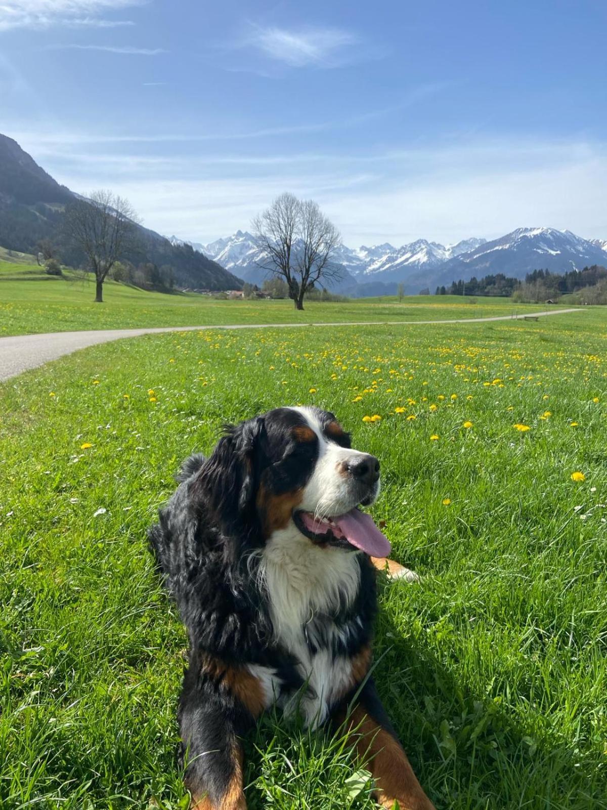 Hemerhof - Ferienwohnungen Oberstdorf Exteriér fotografie